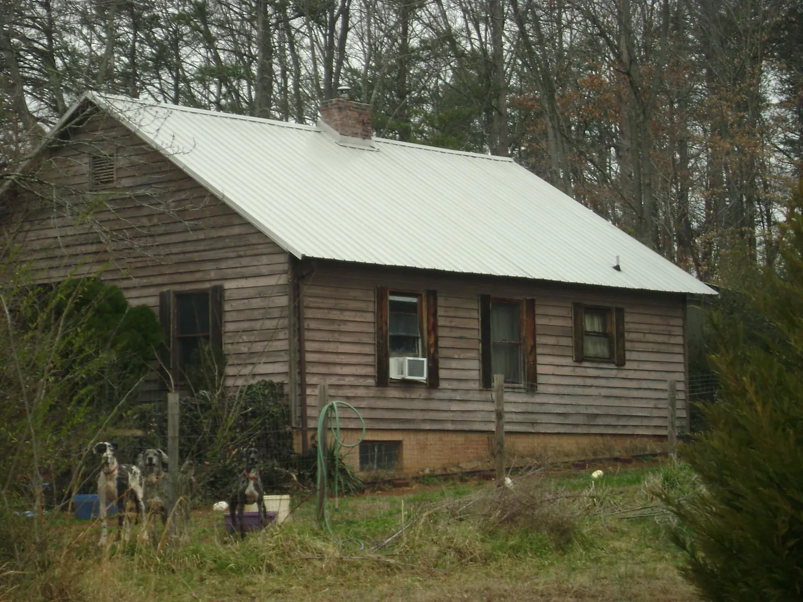 White metal roof on an old wood sided farmhouse, from a Asphalt Shingle Roof Repair job in Alpha